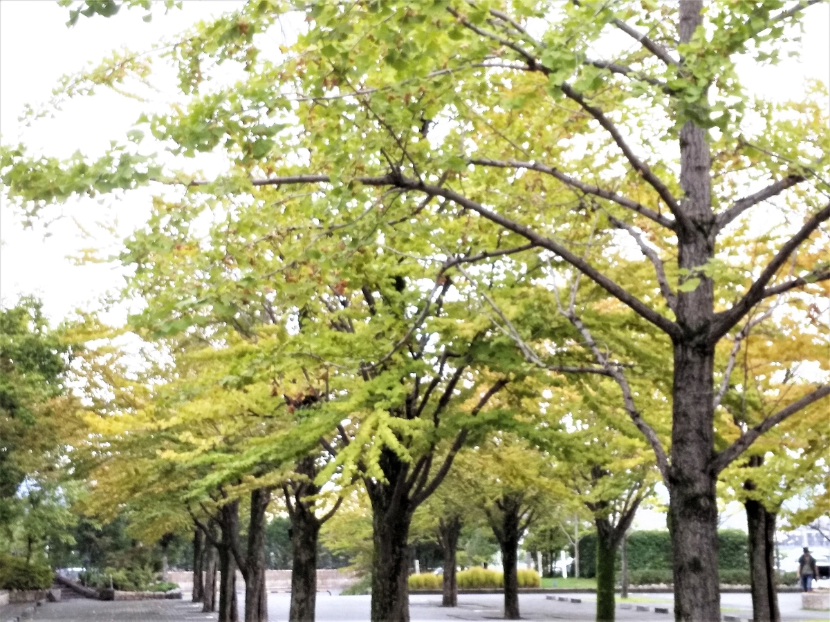 f:id:hidejirokun:20190921162534j:plain f:id:hidejirokun:20190921162534j:plain