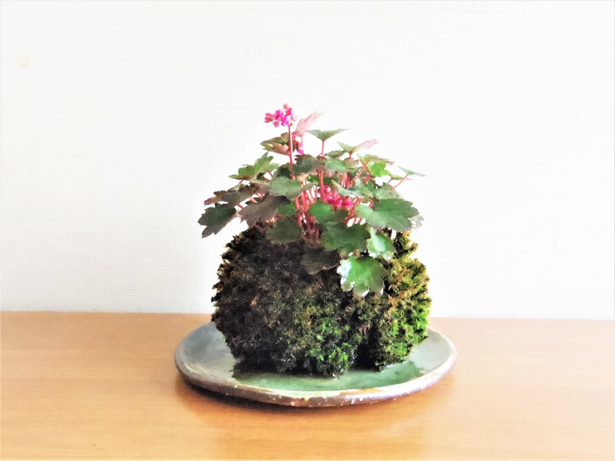 f:id:hidejirokun:20191124181910j:plain f:id:hidejirokun:20191124181910j:plain