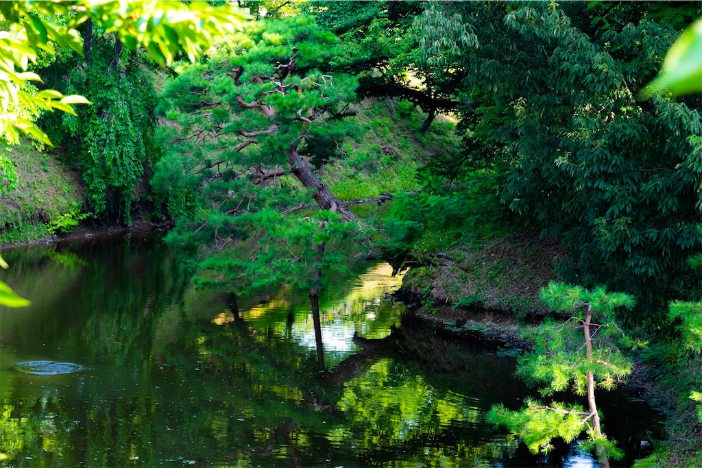 f:id:hidekazu3566:20180719115848j:image