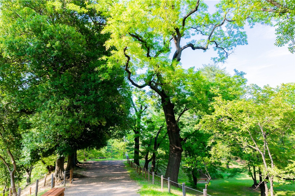 f:id:hidekazu3566:20180719115927j:image