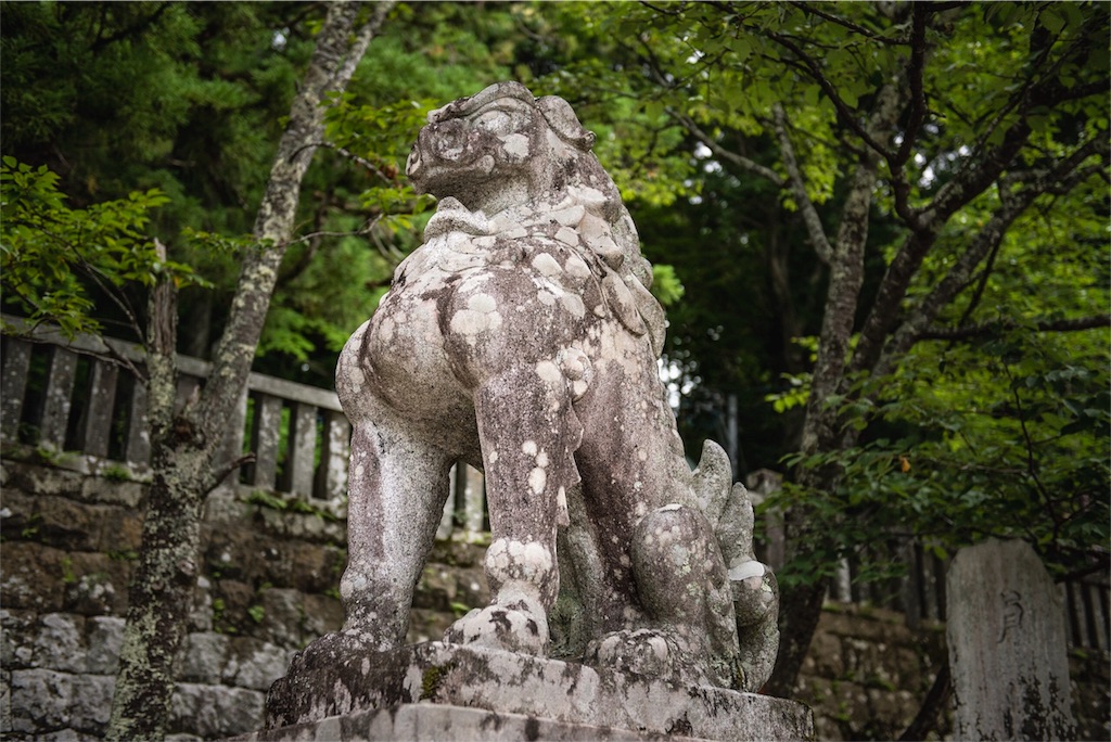 f:id:hidekazu3566:20180812104929j:image