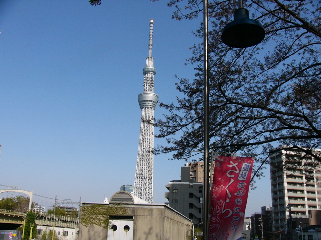 f:id:hideki-sansho:20170827132259j:plain f:id:hideki-sansho:20170827132259j:plain