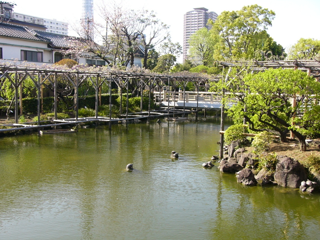 f:id:hideki-sansho:20170827191654j:plain f:id:hideki-sansho:20170827191654j:plain