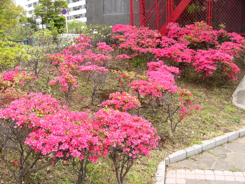 f:id:hideki-sansho:20170829125931j:plain