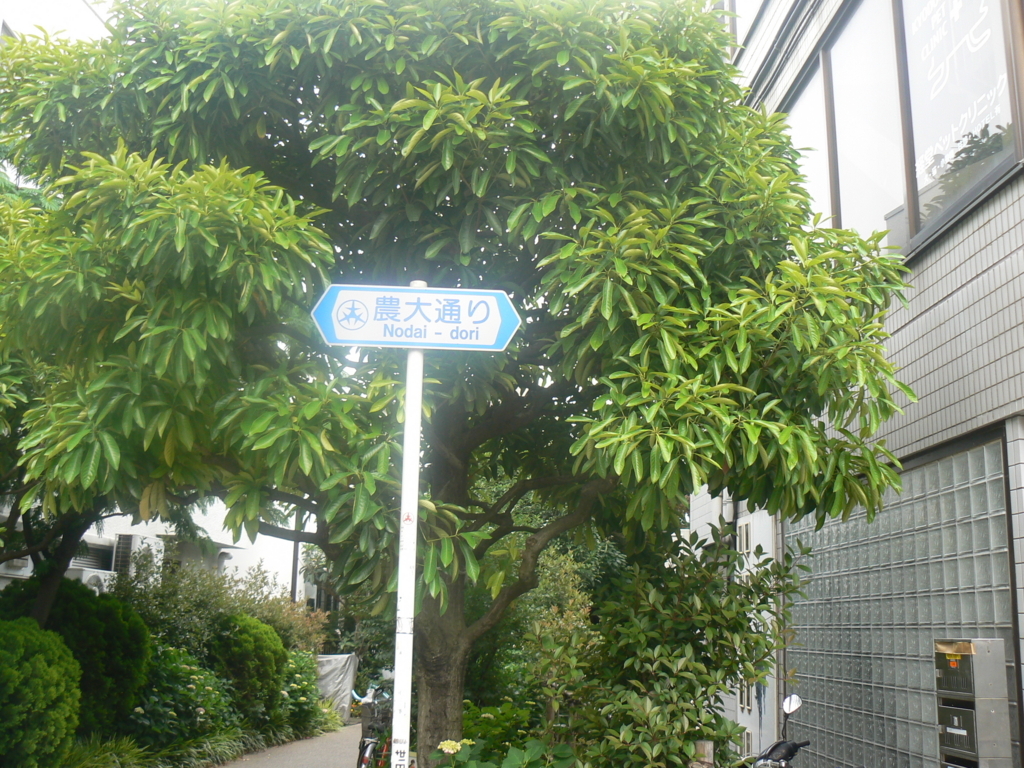 f:id:hideki-sansho:20170904172158j:plain