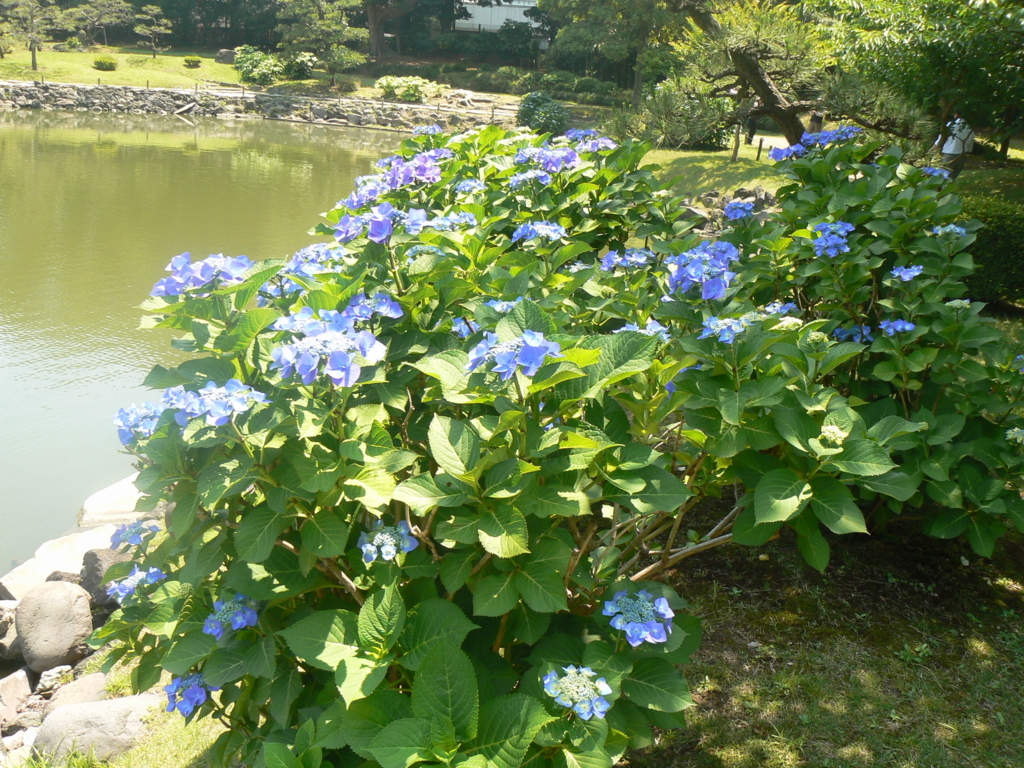 f:id:hideki-sansho:20170905133046j:plain