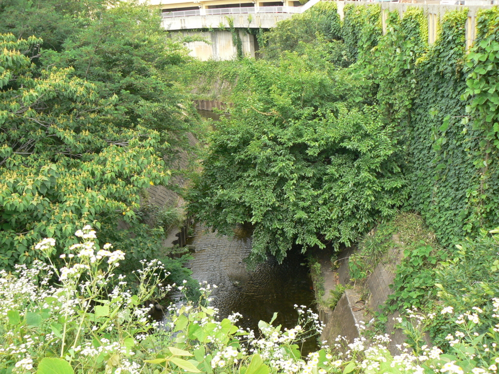 f:id:hideki-sansho:20170906192156j:plain