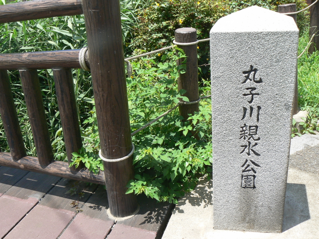 f:id:hideki-sansho:20171002205519j:plain f:id:hideki-sansho:20171002205519j:plain