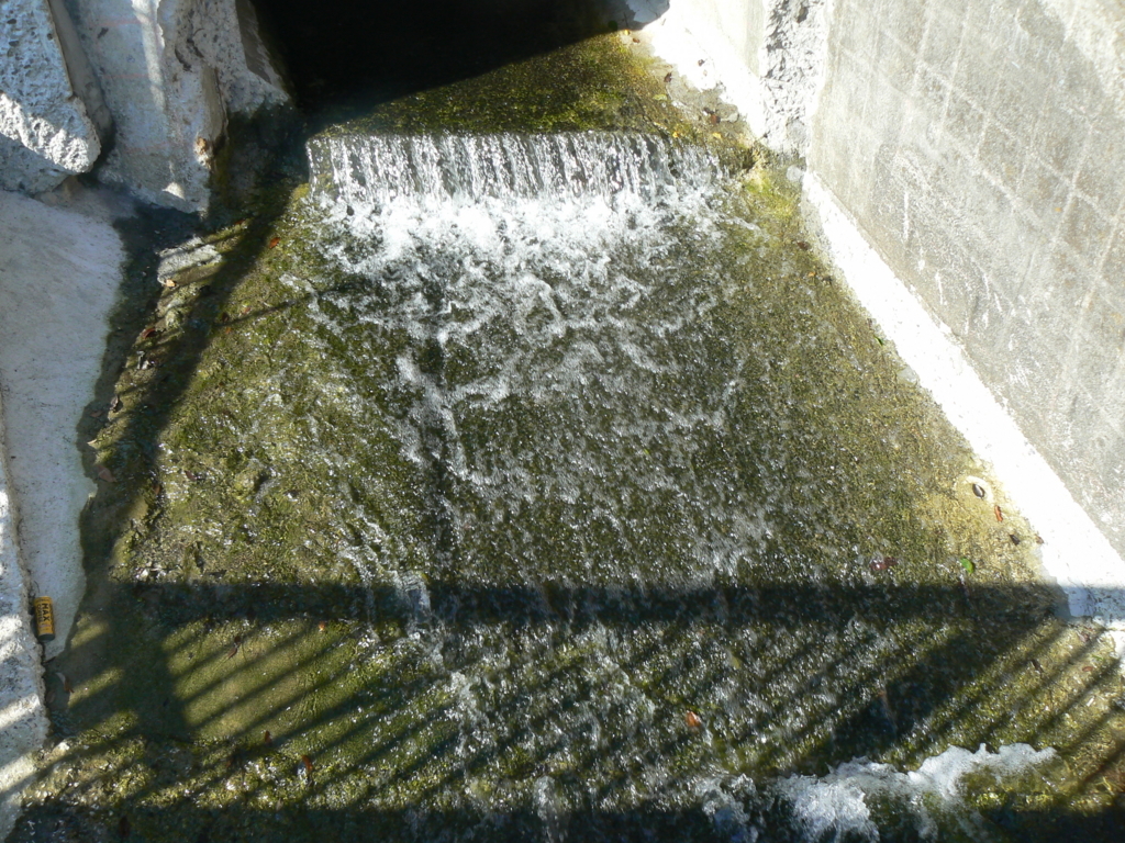 f:id:hideki-sansho:20171003100137j:plain