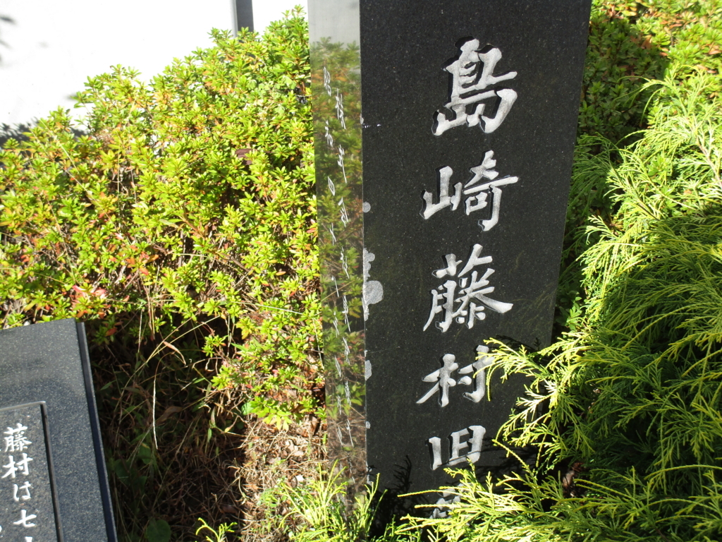 f:id:hideki-sansho:20171125160914j:plain f:id:hideki-sansho:20171125160914j:plain