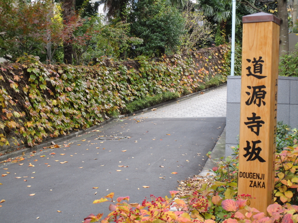 f:id:hideki-sansho:20171127100656j:plain