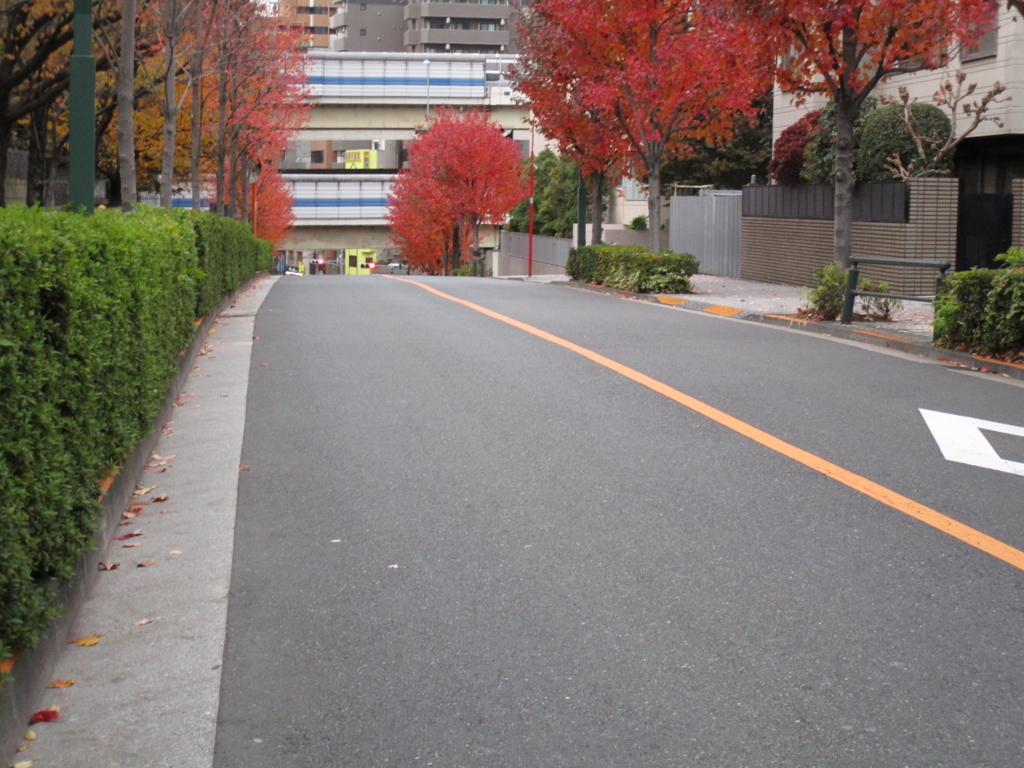 f:id:hideki-sansho:20171127203516j:plain f:id:hideki-sansho:20171127203516j:plain