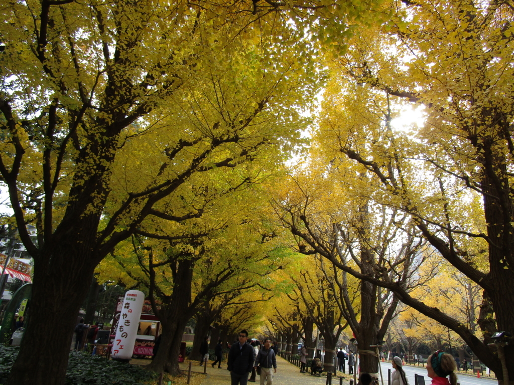 f:id:hideki-sansho:20171128183923j:plain f:id:hideki-sansho:20171128183923j:plain