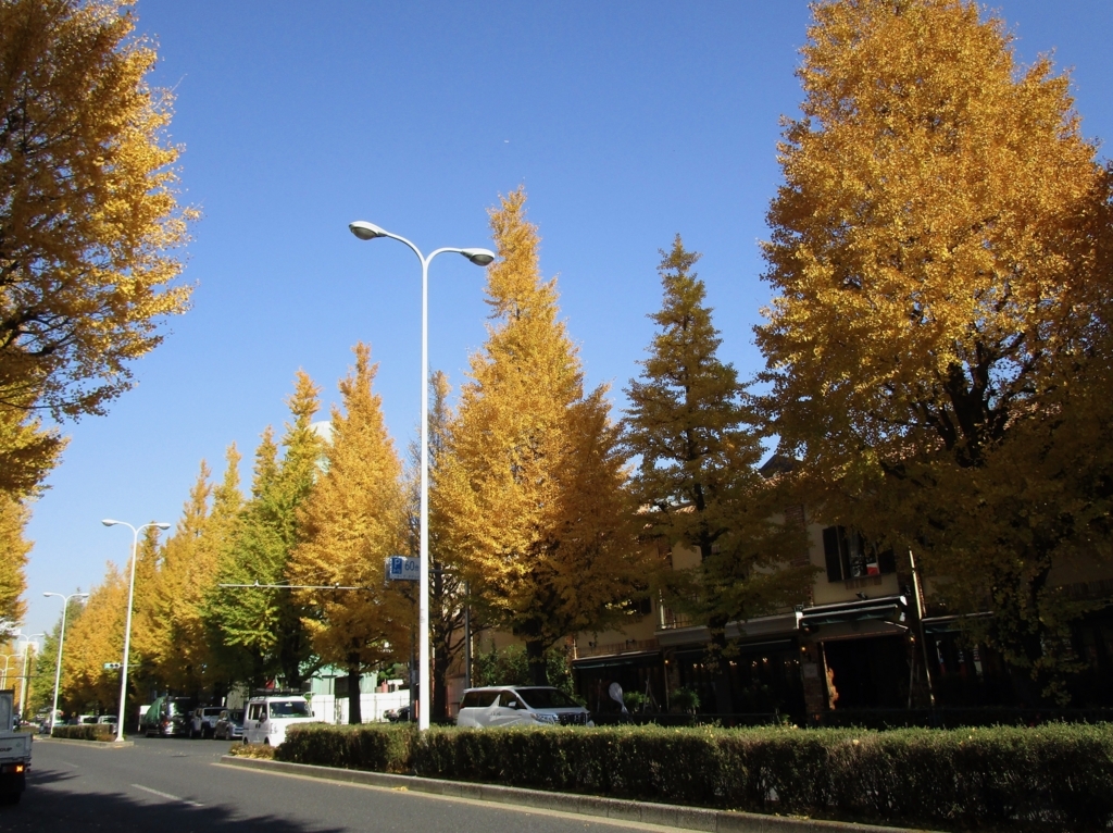 f:id:hideki-sansho:20171129224022j:plain