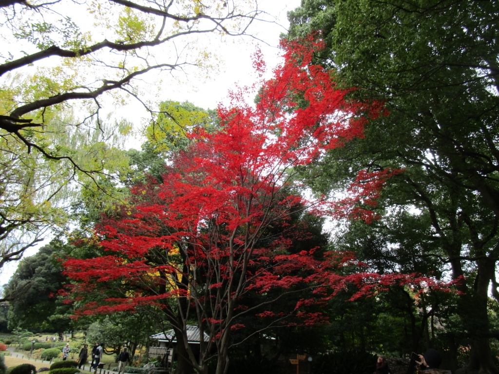 f:id:hideki-sansho:20171202165401j:plain