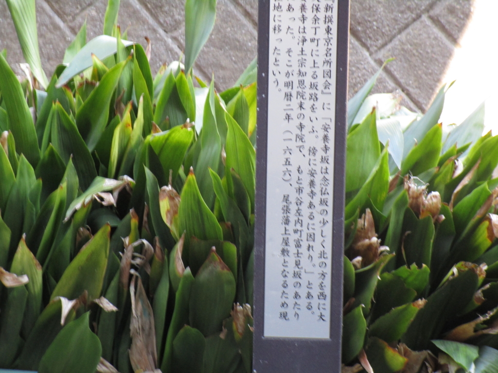 f:id:hideki-sansho:20171211214234j:plain