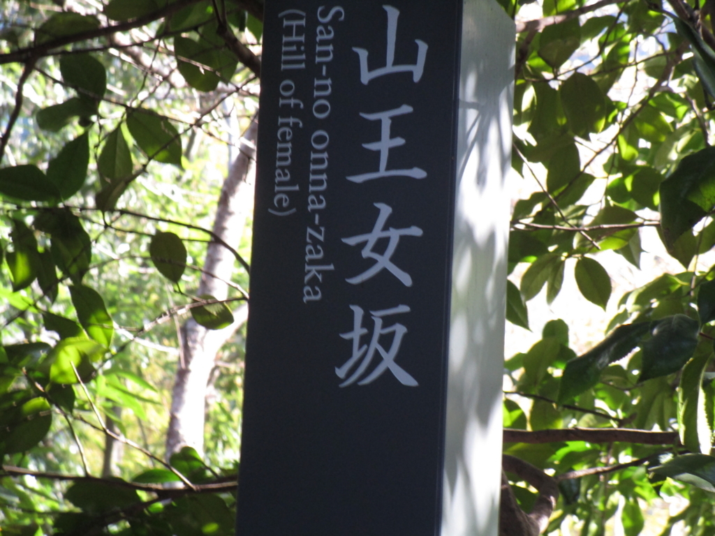 f:id:hideki-sansho:20171216211256j:plain