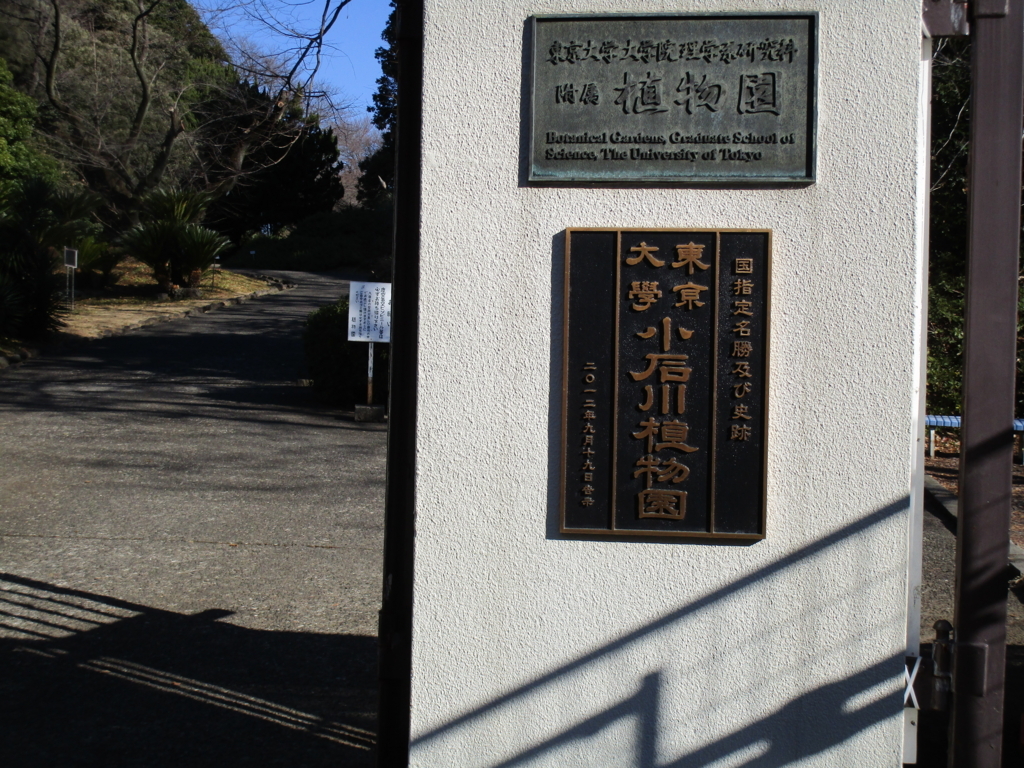 f:id:hideki-sansho:20180110154022j:plain