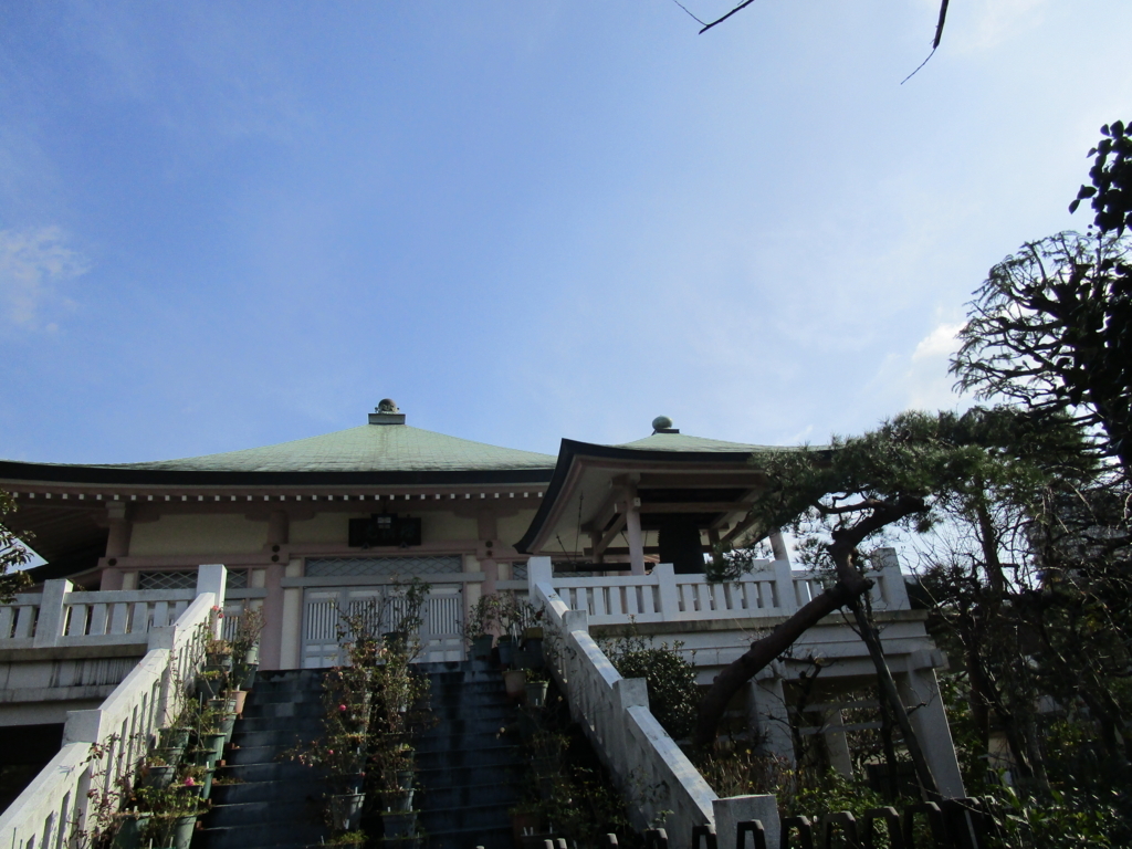 f:id:hideki-sansho:20180118172736j:plain f:id:hideki-sansho:20180118172736j:plain