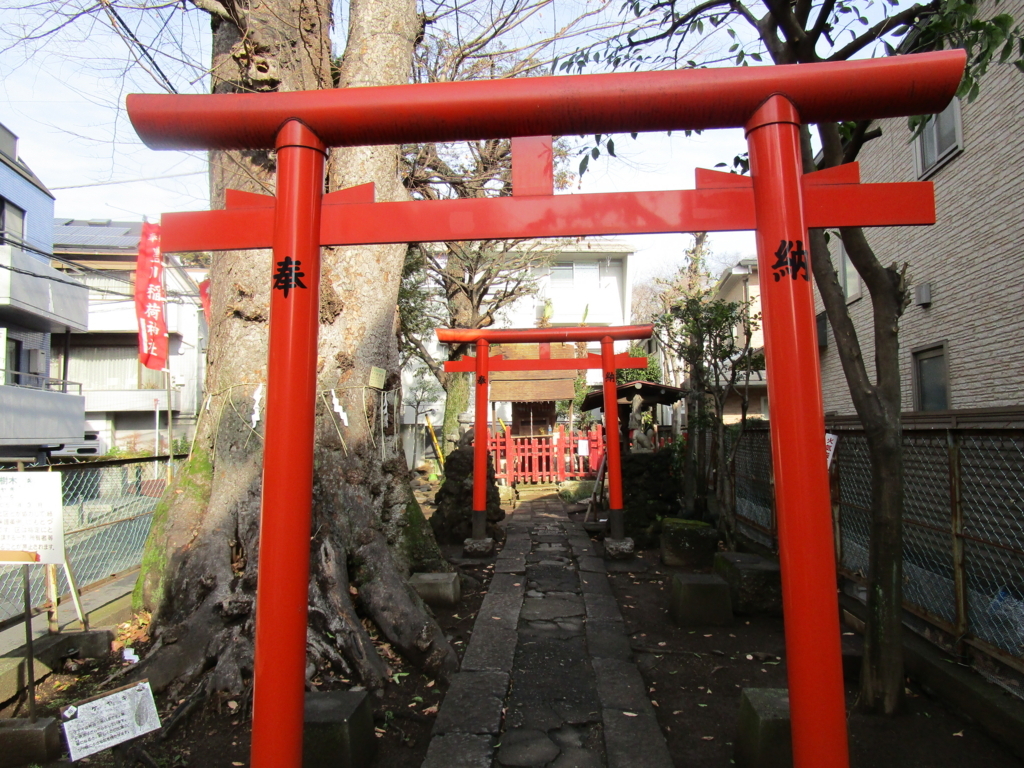 f:id:hideki-sansho:20180118172802j:plain f:id:hideki-sansho:20180118172802j:plain