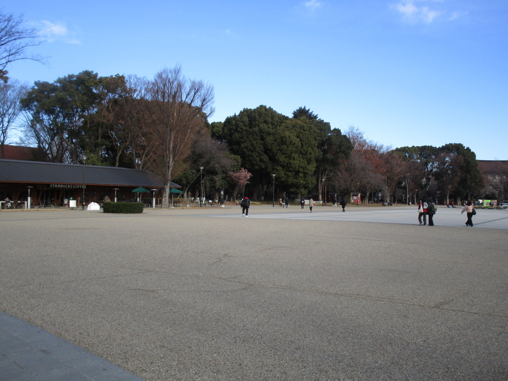 f:id:hideki-sansho:20180130213231j:plain f:id:hideki-sansho:20180130213231j:plain