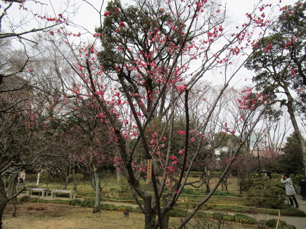 f:id:hideki-sansho:20180203150704j:plain