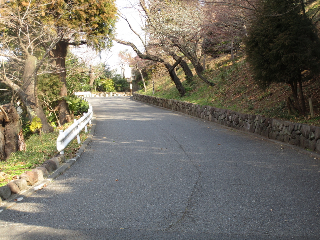 f:id:hideki-sansho:20180217174526j:plain f:id:hideki-sansho:20180217174526j:plain