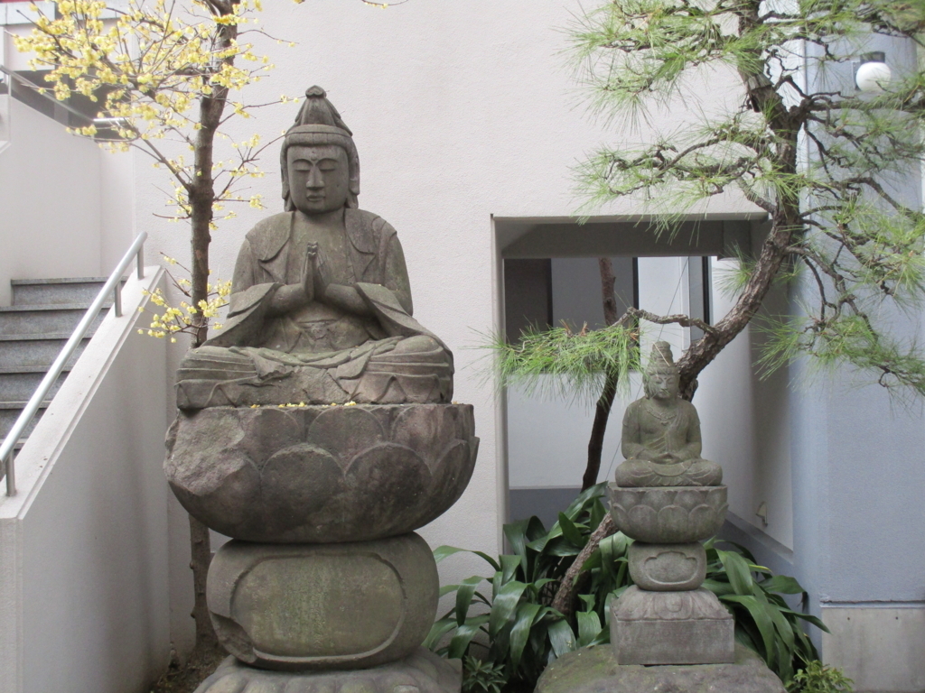 f:id:hideki-sansho:20180217183722j:plain f:id:hideki-sansho:20180217183722j:plain
