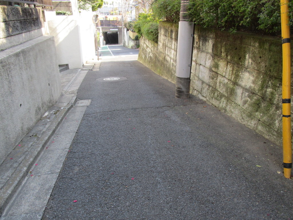 f:id:hideki-sansho:20180217184923j:plain f:id:hideki-sansho:20180217184923j:plain