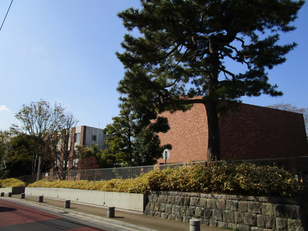f:id:hideki-sansho:20180217185906j:plain f:id:hideki-sansho:20180217185906j:plain