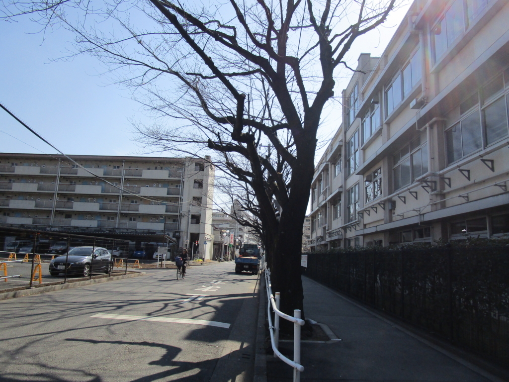 f:id:hideki-sansho:20180221085433j:plain f:id:hideki-sansho:20180221085433j:plain