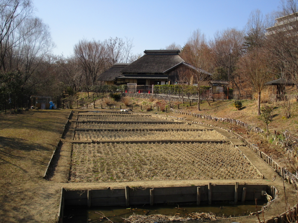 f:id:hideki-sansho:20180221091508j:plain f:id:hideki-sansho:20180221091508j:plain