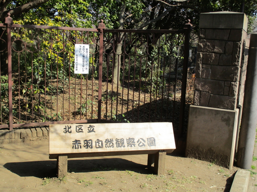 f:id:hideki-sansho:20180221093927j:plain f:id:hideki-sansho:20180221093927j:plain