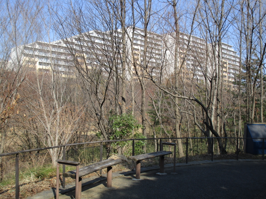 f:id:hideki-sansho:20180221100018j:plain f:id:hideki-sansho:20180221100018j:plain