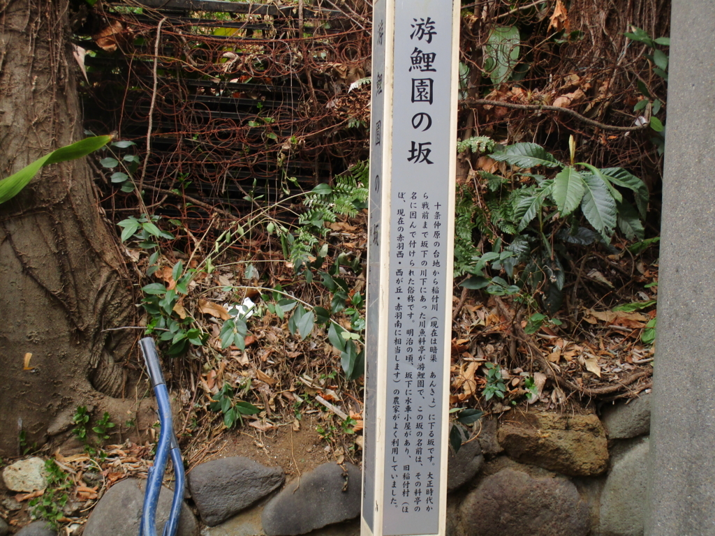 f:id:hideki-sansho:20180301072838j:plain f:id:hideki-sansho:20180301072838j:plain