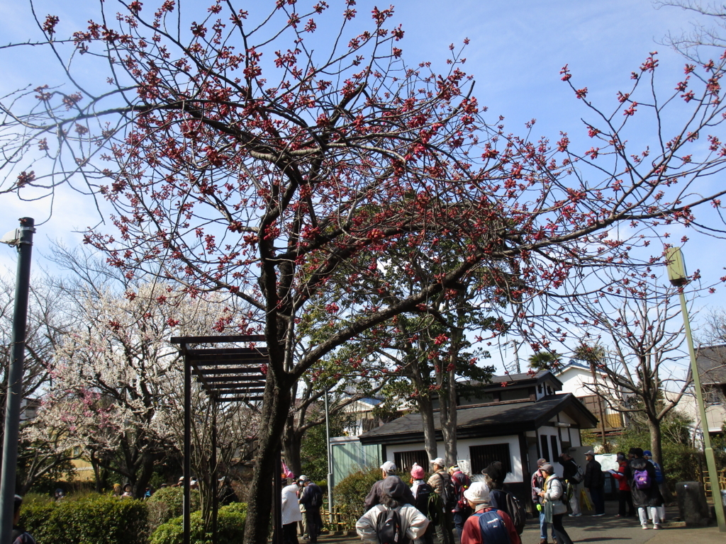 f:id:hideki-sansho:20180303174314j:plain f:id:hideki-sansho:20180303174314j:plain