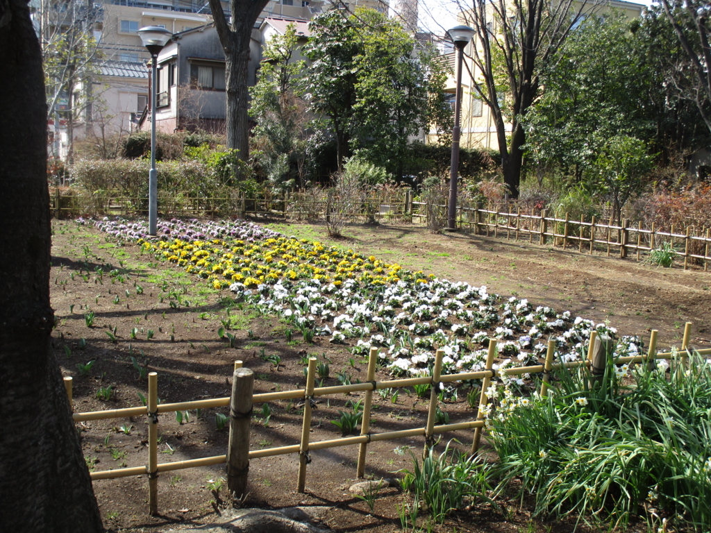 f:id:hideki-sansho:20180303182025j:plain f:id:hideki-sansho:20180303182025j:plain
