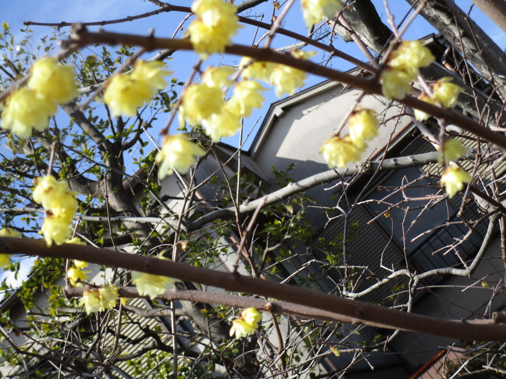 f:id:hideki-sansho:20180303193940j:plain f:id:hideki-sansho:20180303193940j:plain