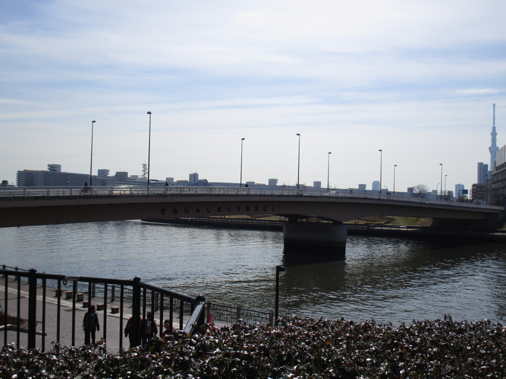 f:id:hideki-sansho:20180303194329j:plain f:id:hideki-sansho:20180303194329j:plain