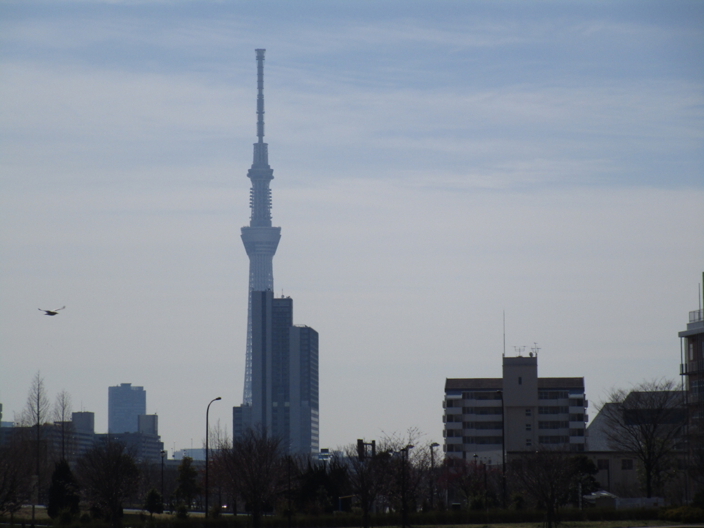 f:id:hideki-sansho:20180303195408j:plain