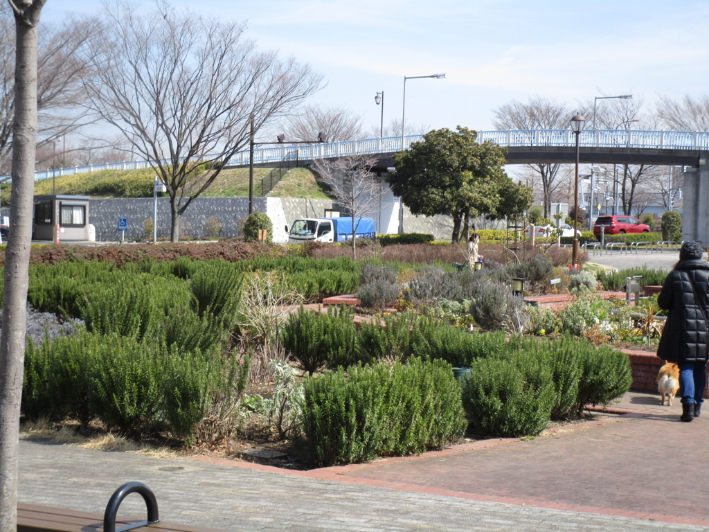 f:id:hideki-sansho:20180303224217j:plain f:id:hideki-sansho:20180303224217j:plain