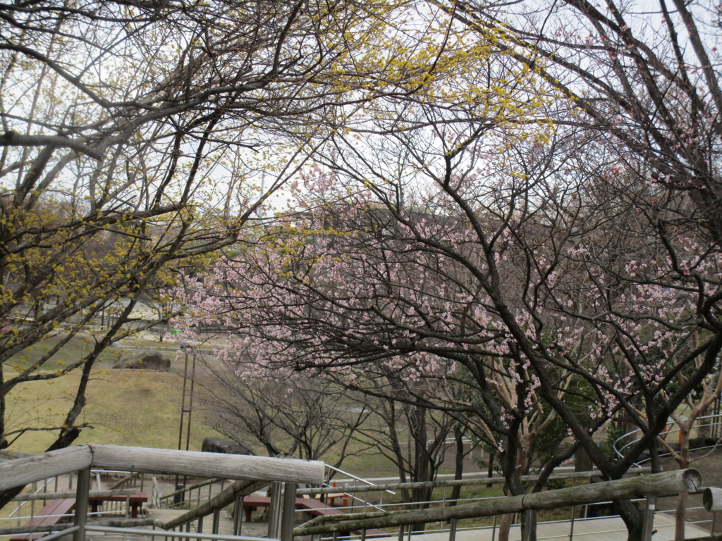 f:id:hideki-sansho:20180310200643j:plain f:id:hideki-sansho:20180310200643j:plain
