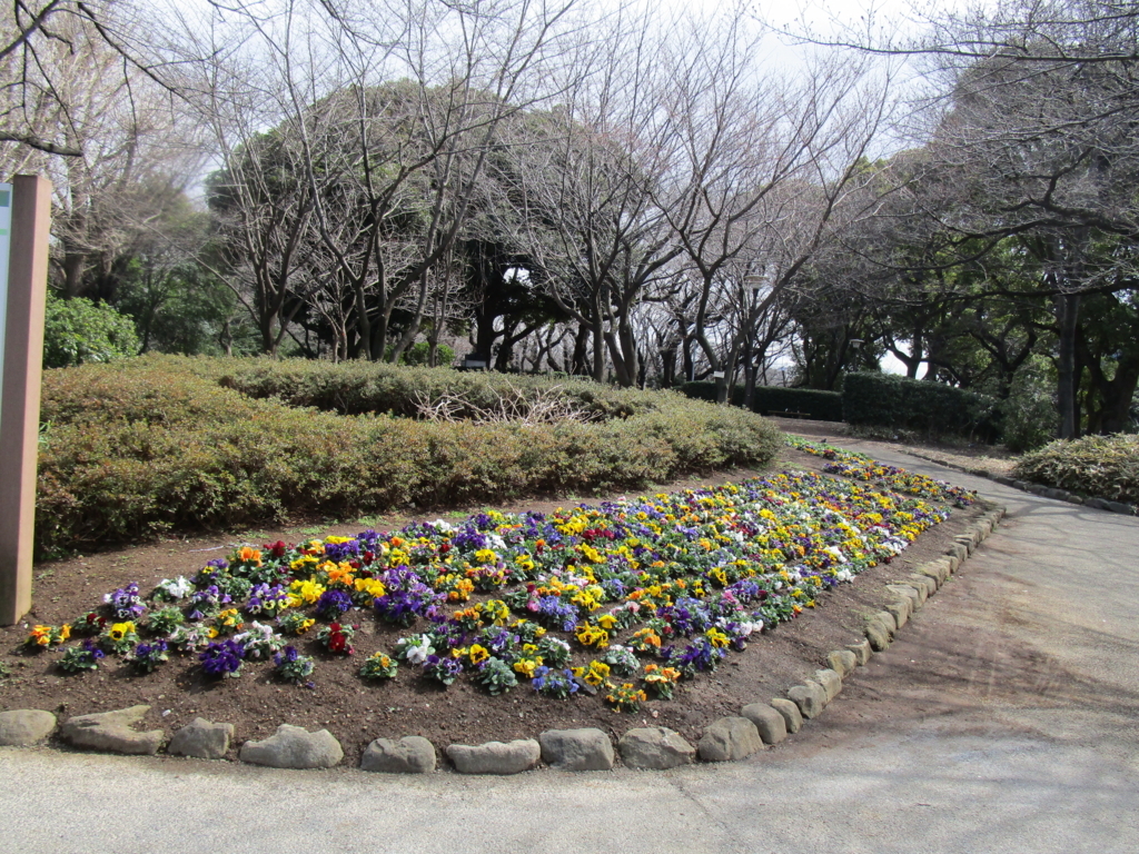 f:id:hideki-sansho:20180310214424j:plain f:id:hideki-sansho:20180310214424j:plain