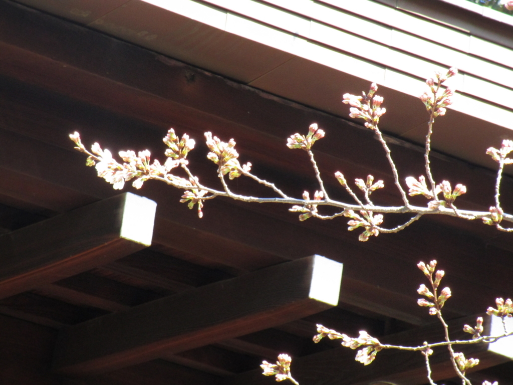 f:id:hideki-sansho:20180317193117j:plain