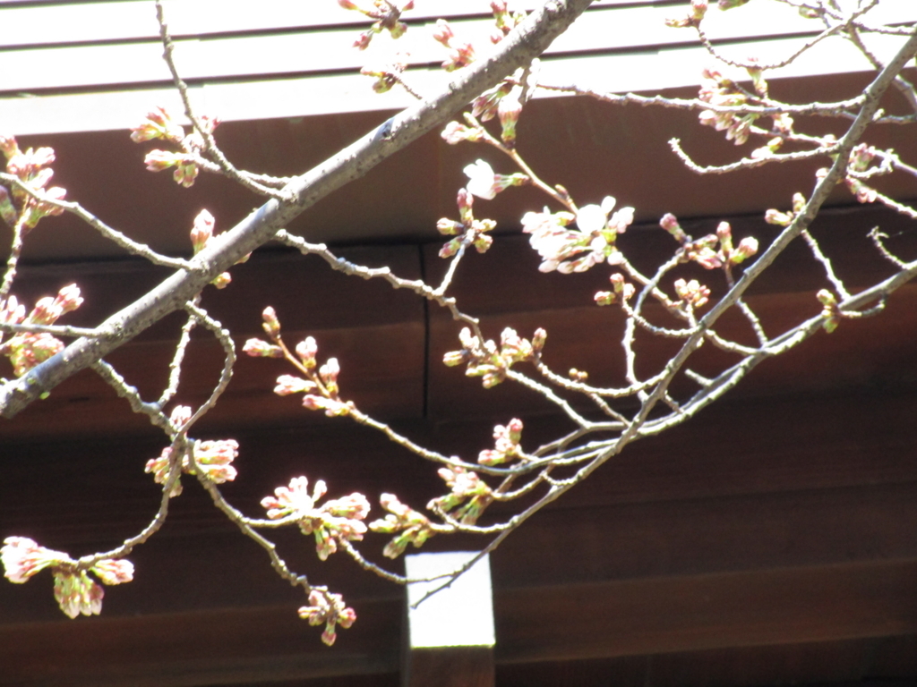 f:id:hideki-sansho:20180317193236j:plain