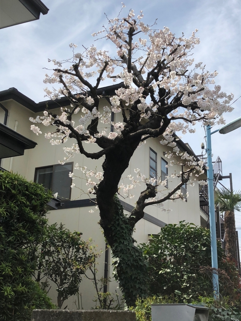 f:id:hideki-sansho:20180326165051j:plain