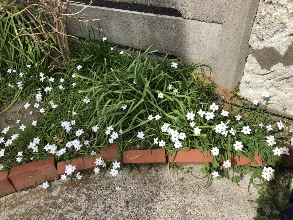 f:id:hideki-sansho:20180326165458j:plain