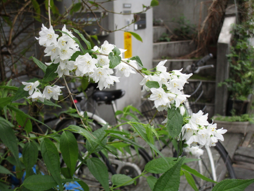 f:id:hideki-sansho:20180405171130j:plain