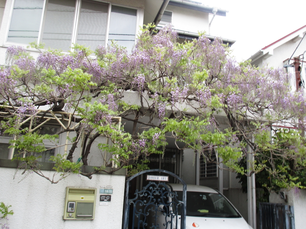 f:id:hideki-sansho:20180405172203j:plain