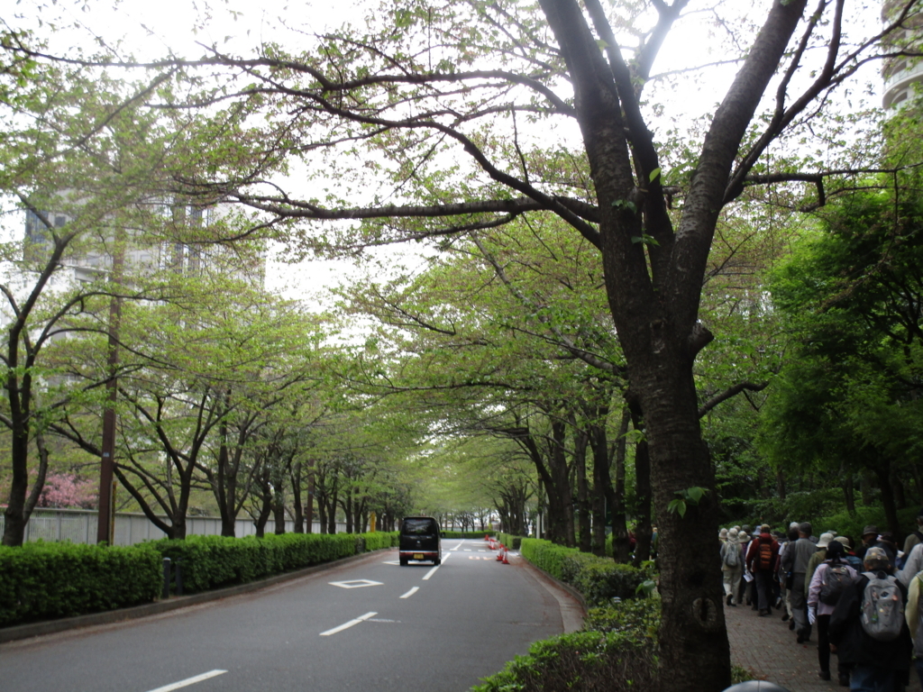 f:id:hideki-sansho:20180407162539j:plain f:id:hideki-sansho:20180407162539j:plain